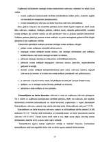 Prakses atskaite 'Grāmatvedības prakses atskaite ', 16.