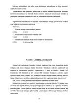 Prakses atskaite 'Grāmatvedības prakses atskaite ', 17.