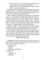 Prakses atskaite 'Grāmatvedības prakses atskaite ', 21.