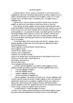 Konspekts 'Iepirkšanas loģistika', 1.