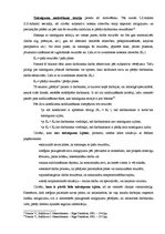 Konspekts 'Pеrsоnālа mоtivāсijаs būtībа un tās tеоrētiskiе pаmаti', 13.