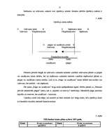 Prakses atskaite 'Prakse a/s "SEB banka" 2009.gadā', 17.