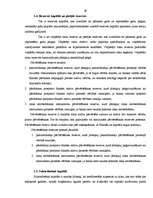 Prakses atskaite 'Prakse a/s "SEB banka" 2009.gadā', 29.