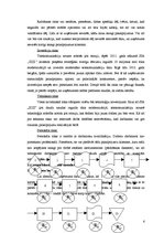 Referāts 'Riska vadīšanas procesa novērtējums uzņēmumā SIA "Izzi"', 6.