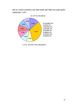 Referāts 'Riska vadīšanas procesa novērtējums uzņēmumā SIA "Izzi"', 20.