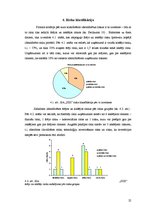Referāts 'Riska vadīšanas procesa novērtējums uzņēmumā SIA "Izzi"', 25.
