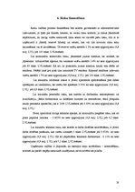 Referāts 'Riska vadīšanas procesa novērtējums uzņēmumā SIA "Izzi"', 28.