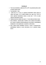 Referāts 'Riska vadīšanas procesa novērtējums uzņēmumā SIA "Izzi"', 29.