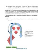 Biznesa plāns 'Business Plan for Slack-Line Tech Company', 29.