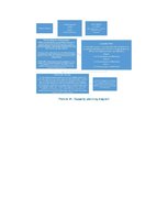 Biznesa plāns 'Business Plan for Slack-Line Tech Company', 33.