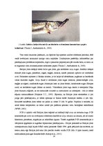 Referāts 'Noturīgās vidi piesārņojošās organiskās vielas Latvijas ūdeņu zivīs', 19.