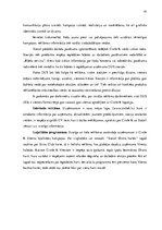 Prakses atskaite 'SIA "Circle K" prakse', 41.