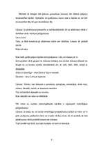 Referāts 'Kļūdas latviešu valodā', 6.