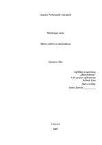 Referāts 'Monitoru filtri', 1.