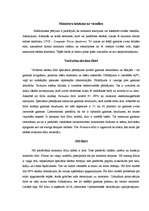 Referāts 'Monitoru filtri', 2.