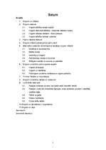 Diplomdarbs 'Origami kā mākslas veida izpēte un tā integrācijas iespējas dažādās mācību jomās', 2.