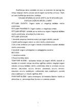 Diplomdarbs 'Origami kā mākslas veida izpēte un tā integrācijas iespējas dažādās mācību jomās', 5.