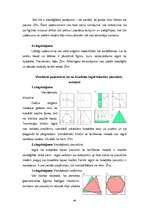 Diplomdarbs 'Origami kā mākslas veida izpēte un tā integrācijas iespējas dažādās mācību jomās', 40.