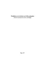 Referāts 'Mandalas un to ietekme uz cilvēka pašsajūtu', 1.