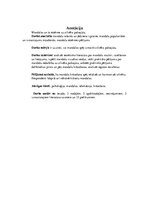 Referāts 'Mandalas un to ietekme uz cilvēka pašsajūtu', 2.