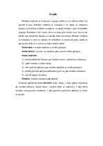 Referāts 'Mandalas un to ietekme uz cilvēka pašsajūtu', 5.