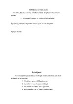 Referāts 'Mandalas un to ietekme uz cilvēka pašsajūtu', 10.