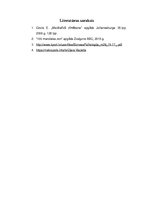 Referāts 'Mandalas un to ietekme uz cilvēka pašsajūtu', 12.