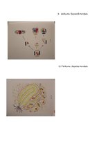 Referāts 'Mandalas un to ietekme uz cilvēka pašsajūtu', 18.