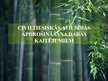 Prezentācija 'Civiltiesiskās atbildības apdrošināšana dabas kaitējumiem', 1.