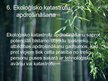 Prezentācija 'Civiltiesiskās atbildības apdrošināšana dabas kaitējumiem', 7.