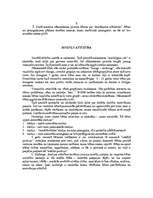 Referāts 'Sākumskolas bērnu psihiskās attīstības raksturojums', 3.