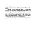 Referāts 'V.Igo romāna "Parīzes Dievmātes katedrāle" tēlu raksturojums', 5.