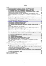 Prakses atskaite 'A/s "Baltijas Izaugsmes Grupa"', 2.