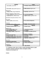 Prakses atskaite 'A/s "Baltijas Izaugsmes Grupa"', 9.