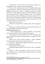 Prakses atskaite 'A/s "Baltijas Izaugsmes Grupa"', 11.