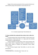 Prakses atskaite 'A/s "Baltijas Izaugsmes Grupa"', 14.