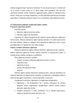 Prakses atskaite 'A/s "Baltijas Izaugsmes Grupa"', 18.