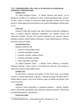 Prakses atskaite 'A/s "Baltijas Izaugsmes Grupa"', 28.