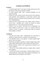 Prakses atskaite 'A/s "Baltijas Izaugsmes Grupa"', 37.