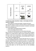 Referāts 'Uzņēmuma produktu tirgus pozīcijas nostriprināšana un konkurence', 7.