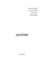 Referāts 'Augsnes', 1.