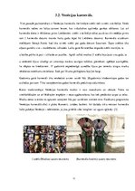 Referāts 'Projekta darbs. Venēcija', 11.