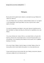 Referāts 'Projekta darbs. Venēcija', 14.