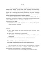 Referāts 'Sarunvaloda internetā', 2.