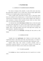 Referāts 'Sarunvaloda internetā', 3.