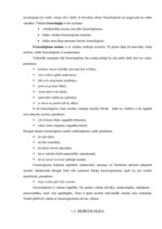 Referāts 'Sarunvaloda internetā', 9.