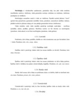 Referāts 'Sarunvaloda internetā', 10.