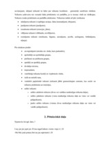 Referāts 'Sarunvaloda internetā', 12.