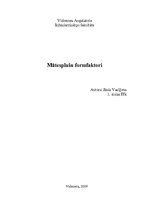 Konspekts 'Mātesplašu formfaktori', 1.