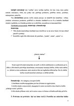 Referāts 'Filosofija', 6.